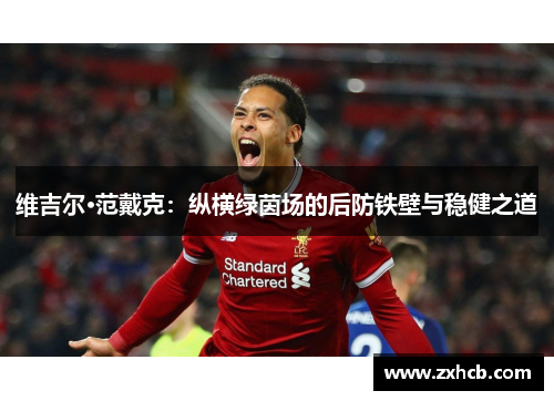 维吉尔·范戴克:纵横绿茵场的后防铁壁与稳健之道 维吉尔·范戴克:纵横绿茵场的后防铁壁与稳健之道